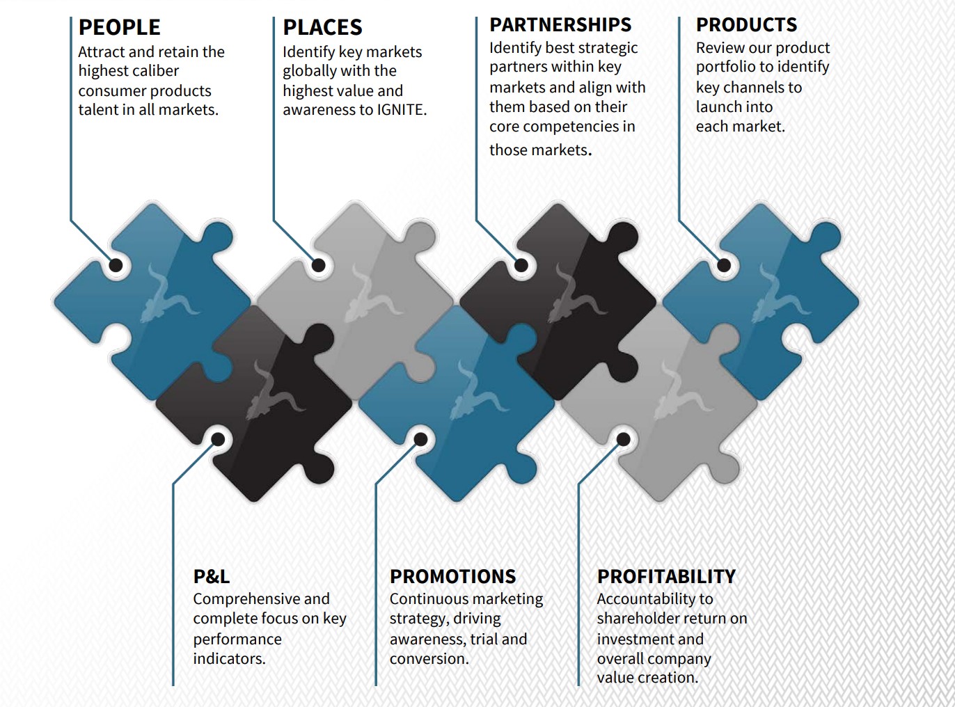 ignite core strategies